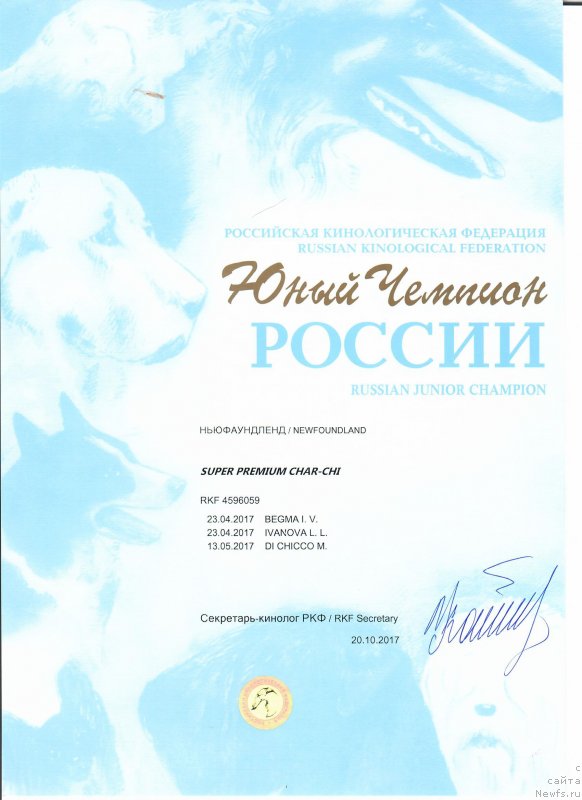 Фотография № 231923