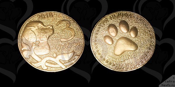 Фотография № 231934