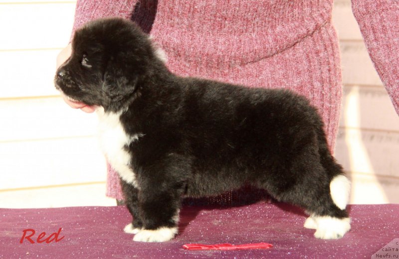 Фото: АС буква 