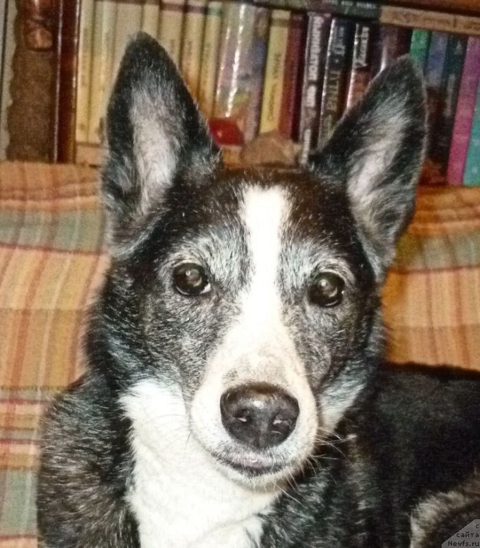 Фотография № 231977