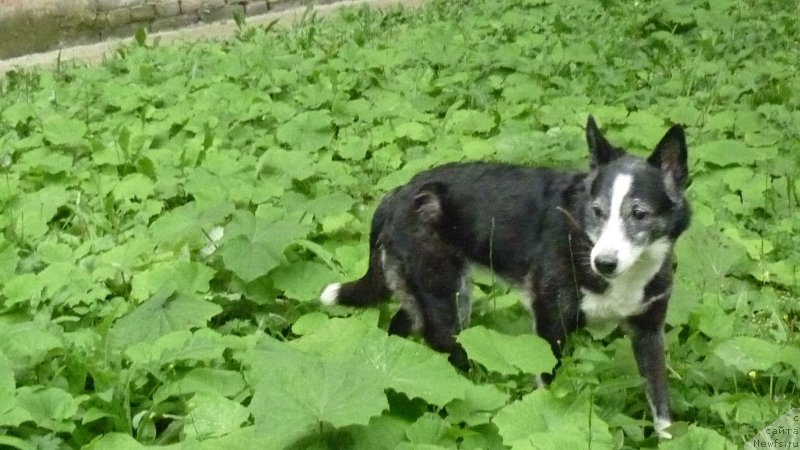 Фотография № 231978