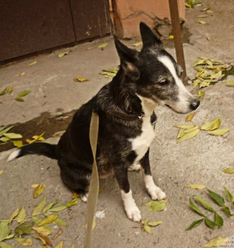 Фотография № 231979