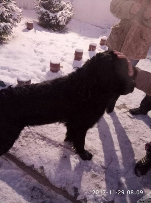 Фотография № 231982