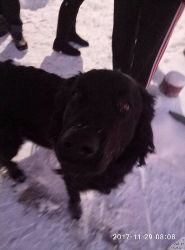 Фотография № 231983