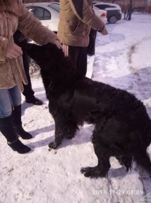 Фотография № 231984