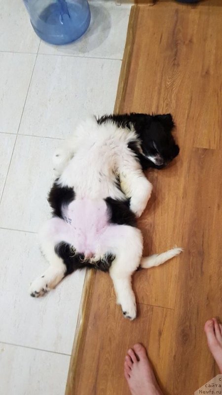 Фотография № 231985