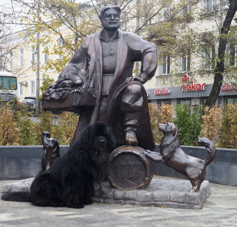 Фотография № 231990