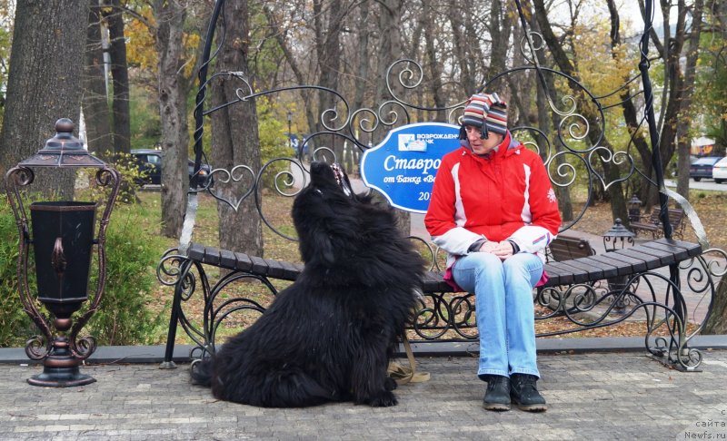 Фотография № 231992