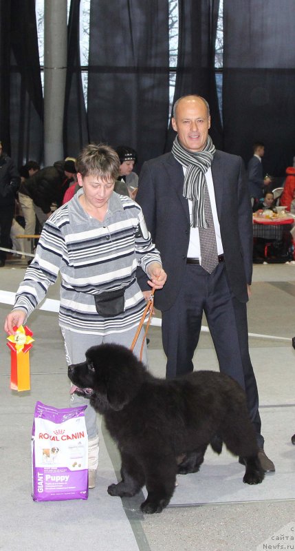 Фотография № 231995