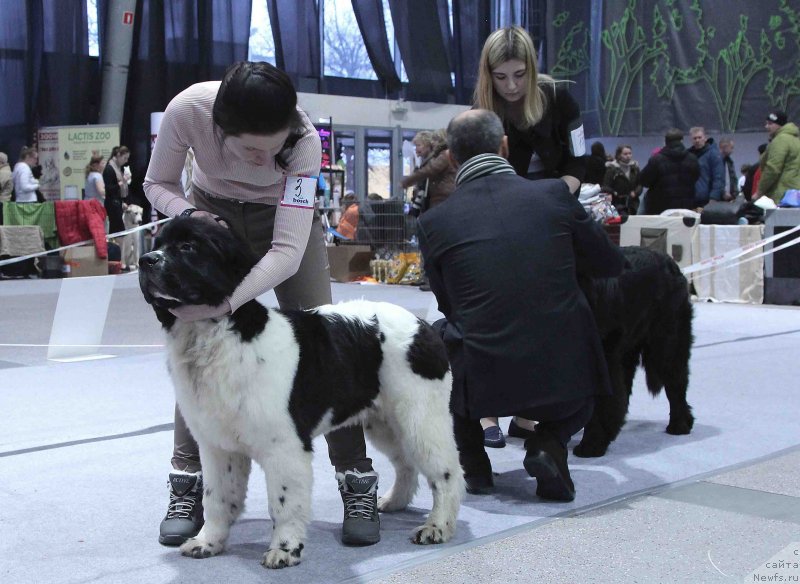 Фотография № 232006