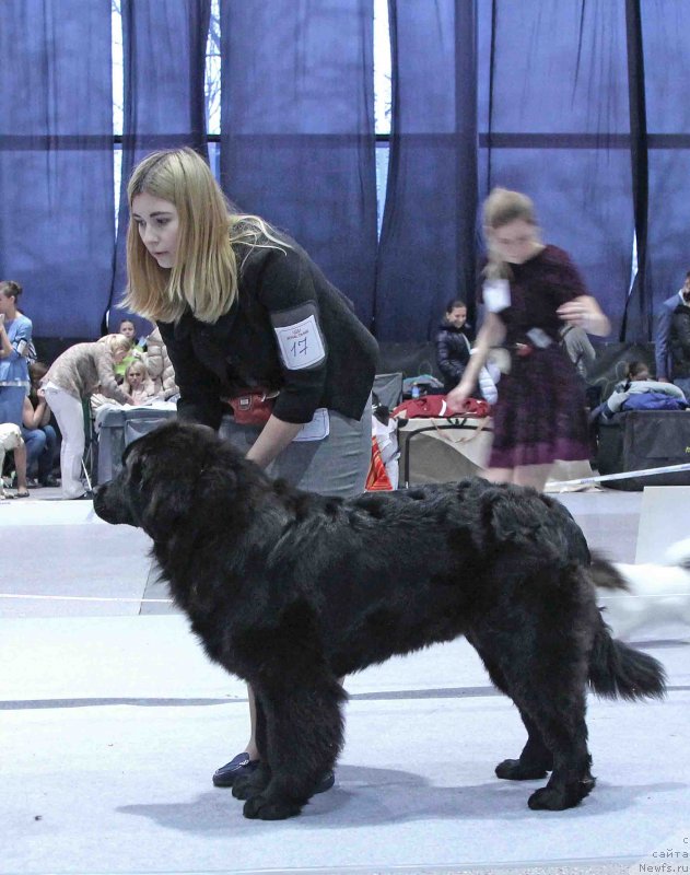 Фотография № 232007