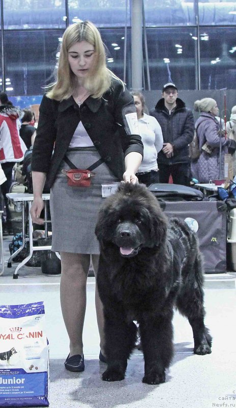 Фотография № 232008