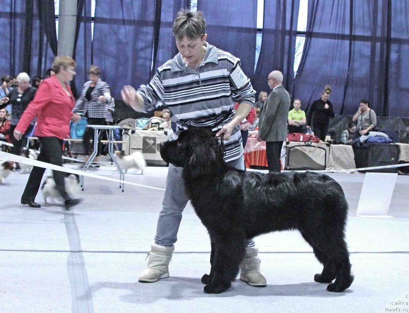 Фотография № 232009