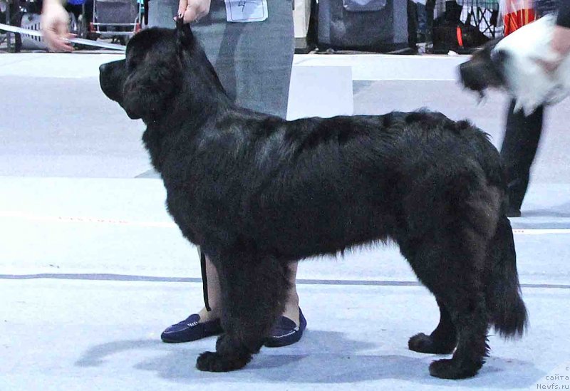 Фотография № 232010