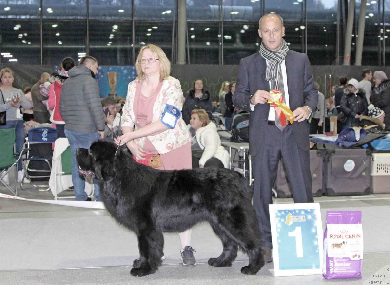 Фотография № 232015