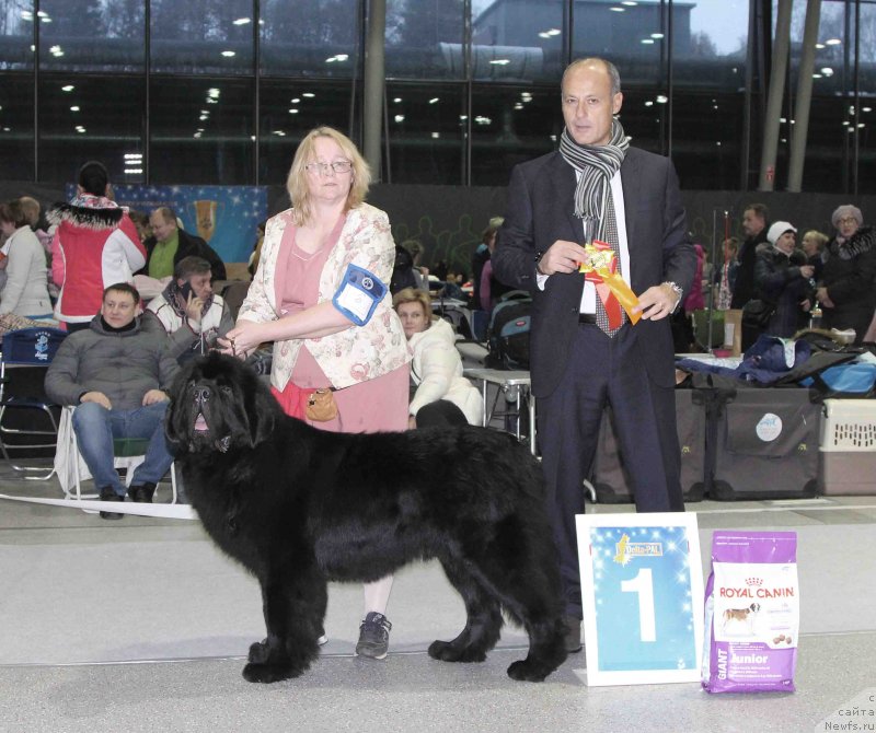 Фотография № 232016