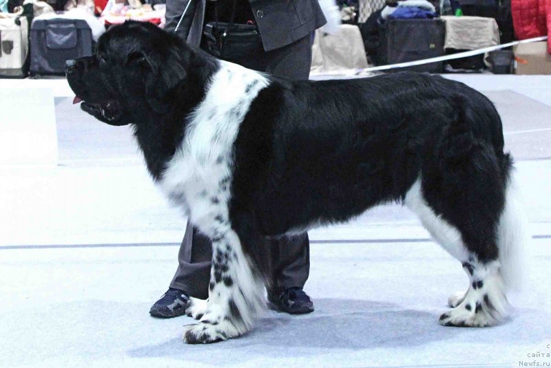 Фотография № 232022