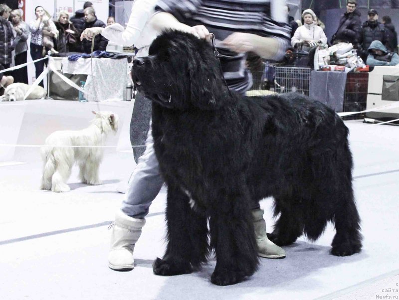 Фотография № 232023