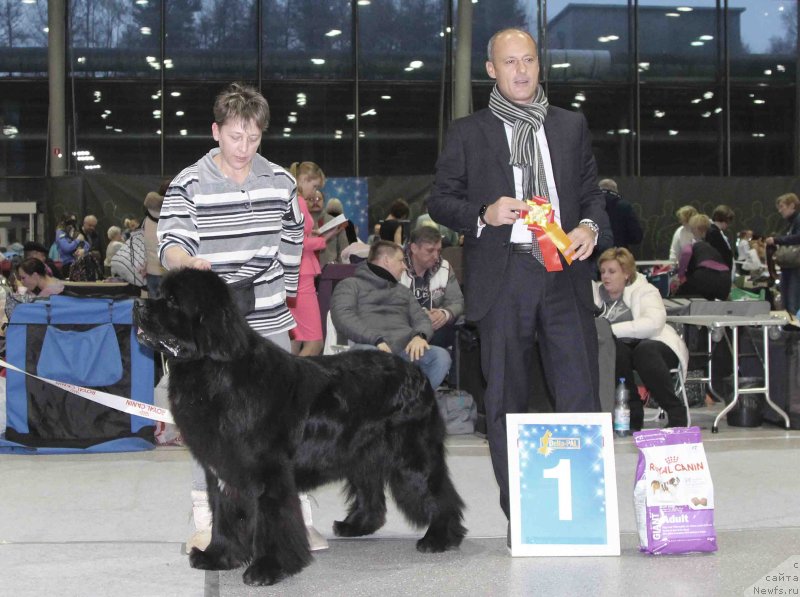 Фото: ньюфаундленд Бридж Овер Траблд Ривер (Bridge Over Troubled River)