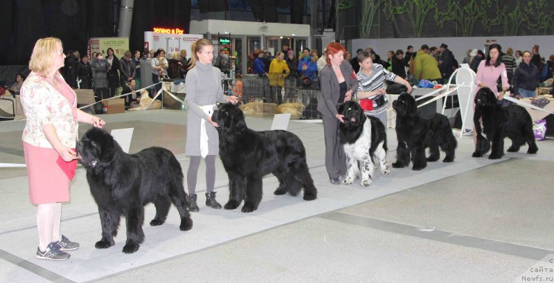 Фотография № 232027