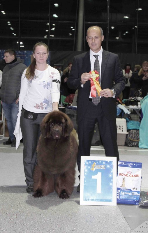 Фотография № 232038