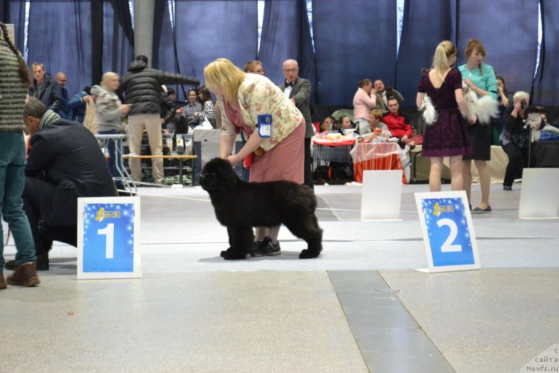 Фотография № 232041