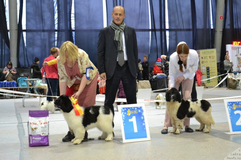 Фотография № 232050