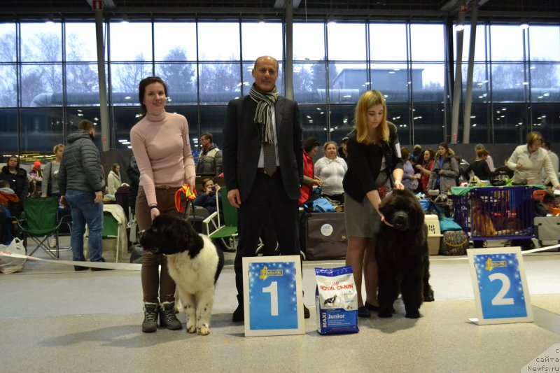 Фотография № 232053