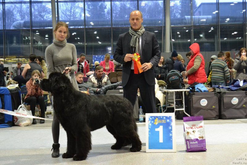 Фотография № 232060