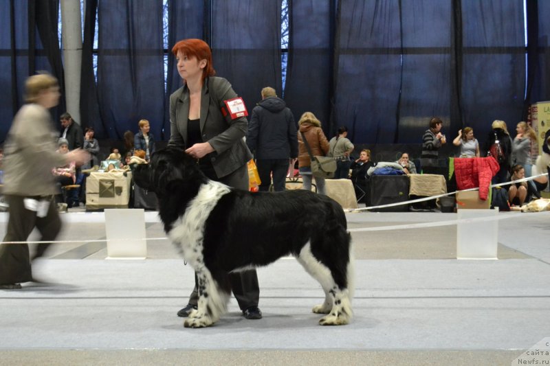 Фотография № 232061