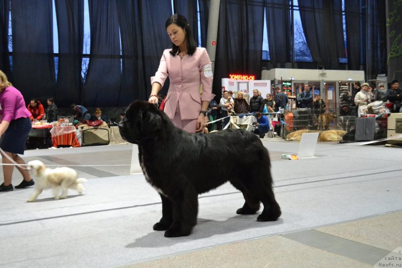 Фотография № 232066