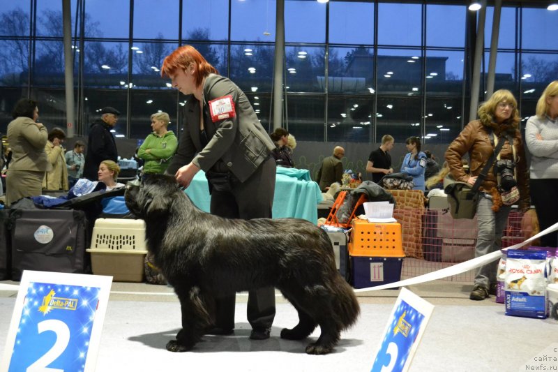 Фотография № 232070