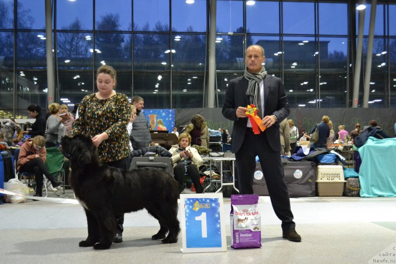 Фотография № 232072