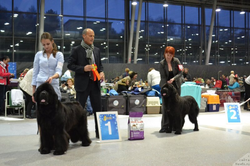 Фотография № 232074