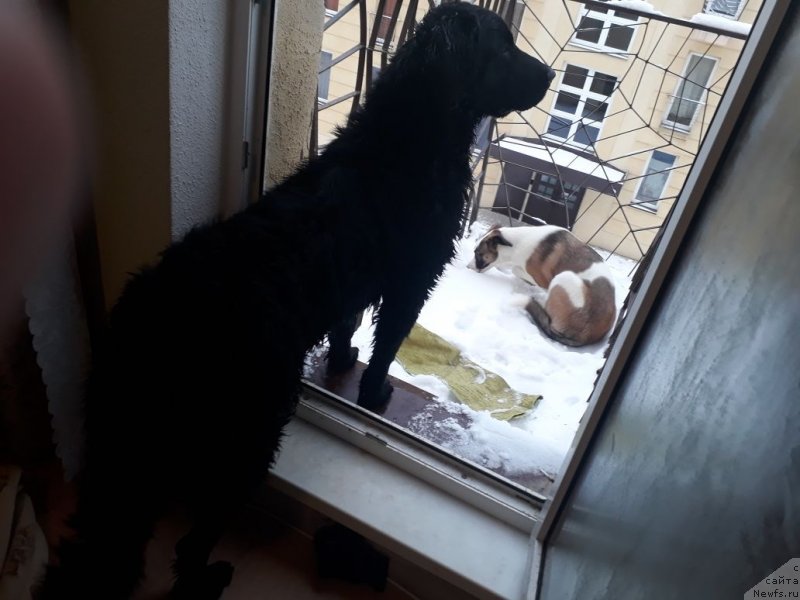 Фотография № 232075