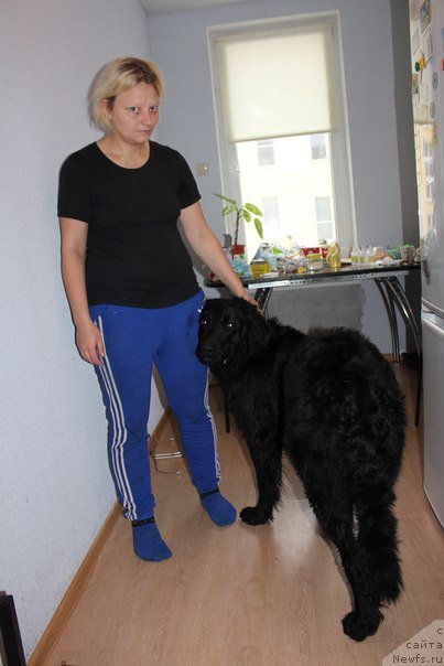 Фотография № 232080