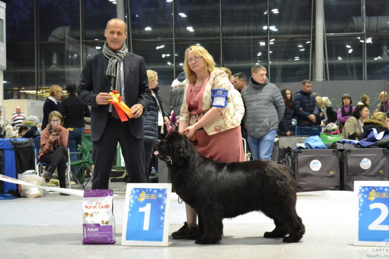 Фотография № 232081