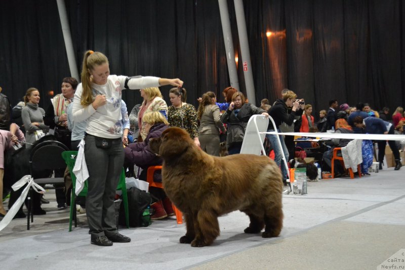 Фотография № 232083