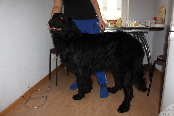 Фотография № 232086