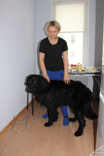 Фотография № 232087