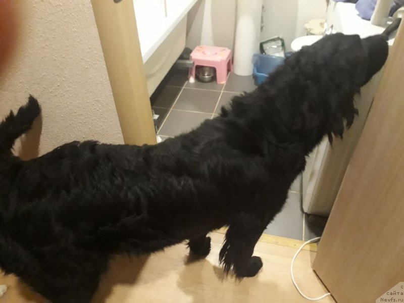 Фотография № 232088