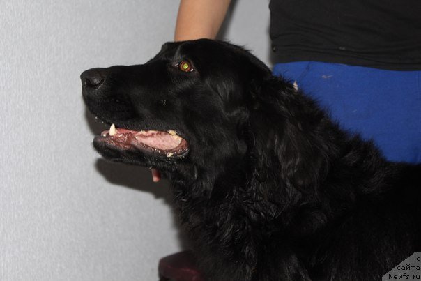 Фотография № 232089