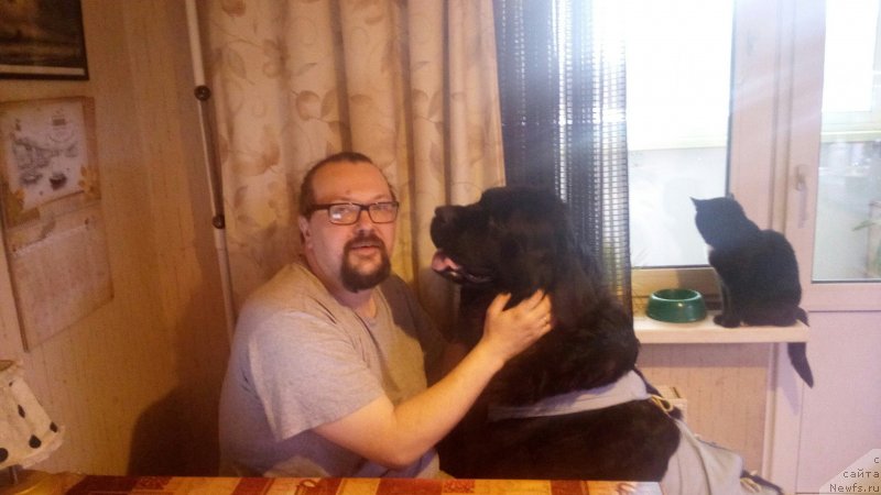 Фотография № 232090