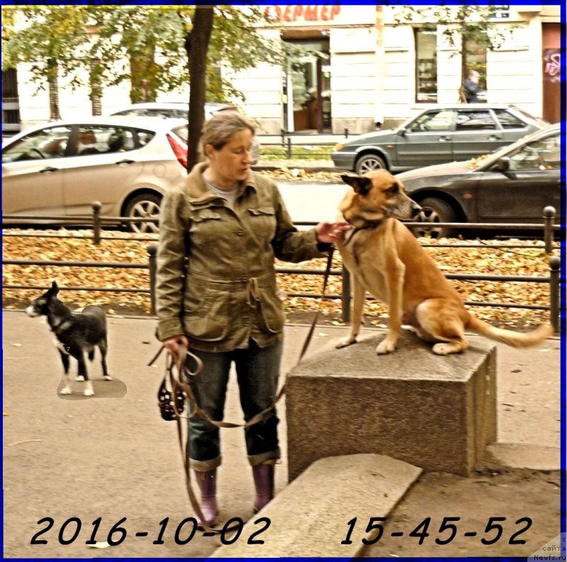 Фотография № 232098