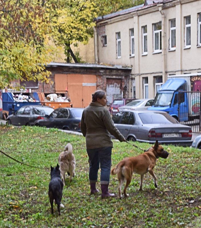 Фотография № 232099