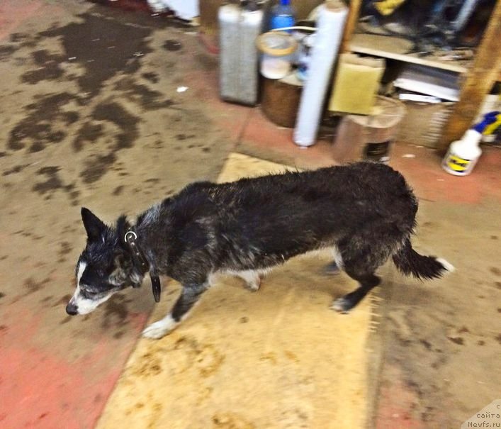 Фотография № 232112