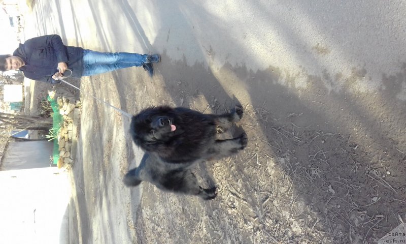 Фотография № 232128