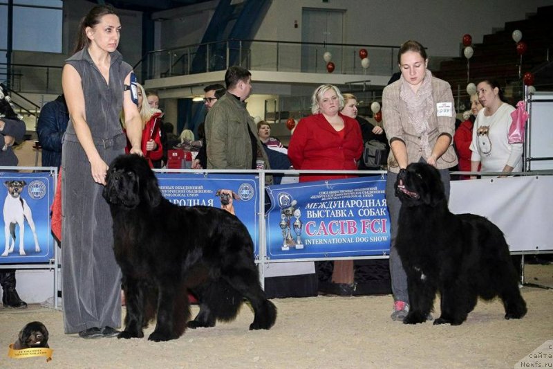 Фотография № 232139