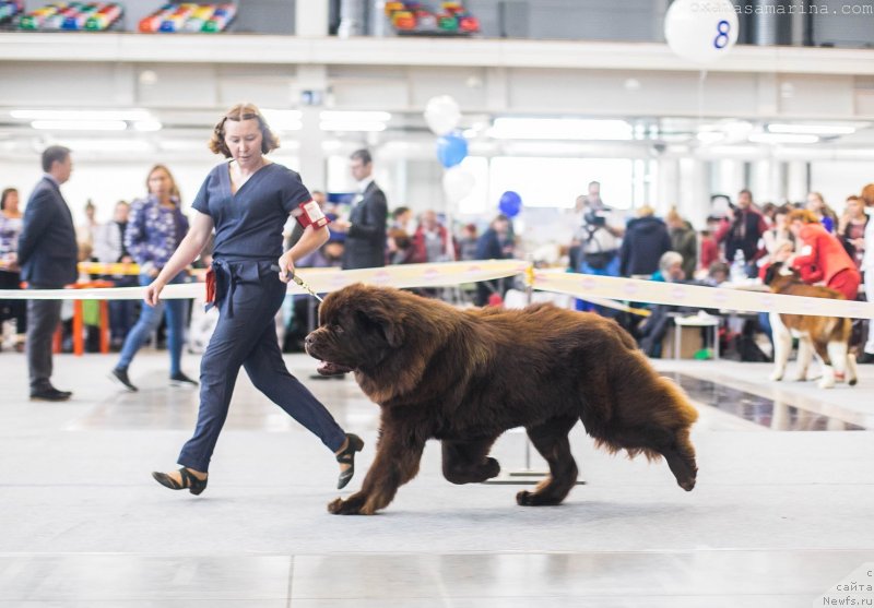 Фотография № 232179