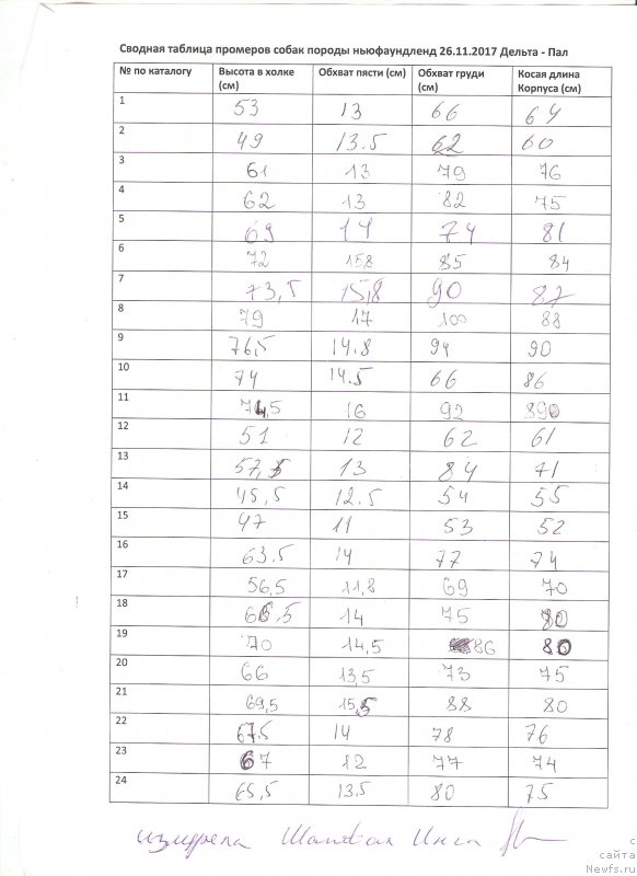 Фотография № 232180